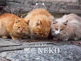 秋日里的那些neko | Neko in Autumn