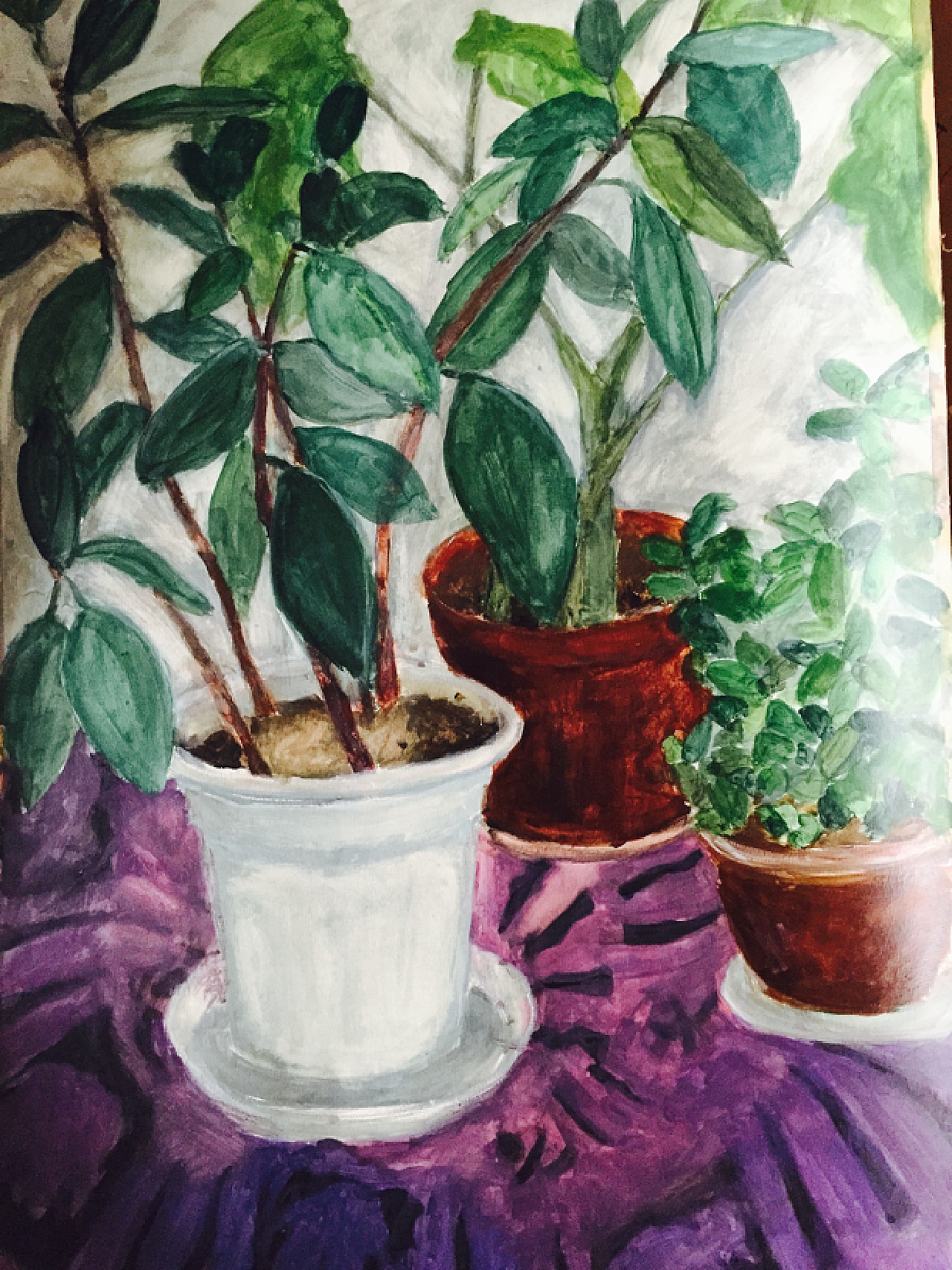 手绘写生植物