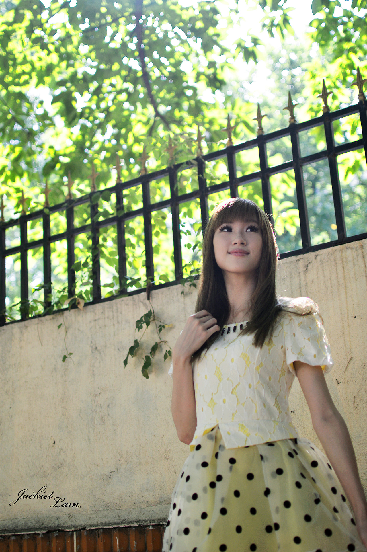 致当年的夏日记