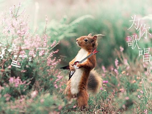 松鼠 