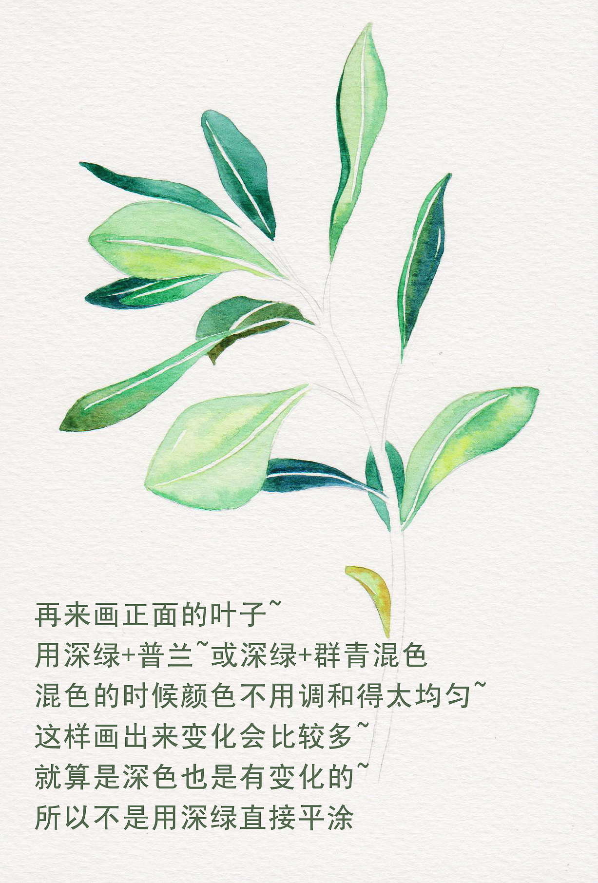 三木花草（小過程3）（圖ZNDU3NzM5NjA=） - 商業(yè)插畫 - 站酷設(shè)計(jì)師吳都Jasmine原創(chuàng)素材 - 站酷ZCOOL