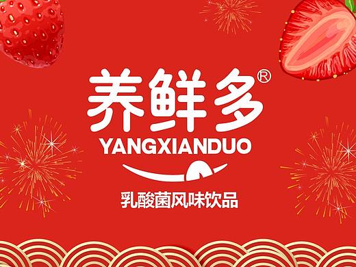 娃哈哈养鲜多乳酸菌风味饮品包装设计