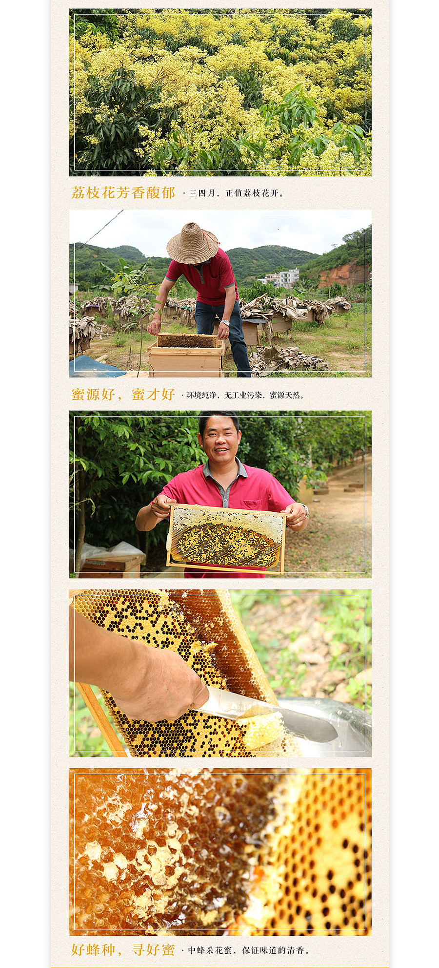 淘兵营-食品类目-蜂蜜特产详情页设计外包案例