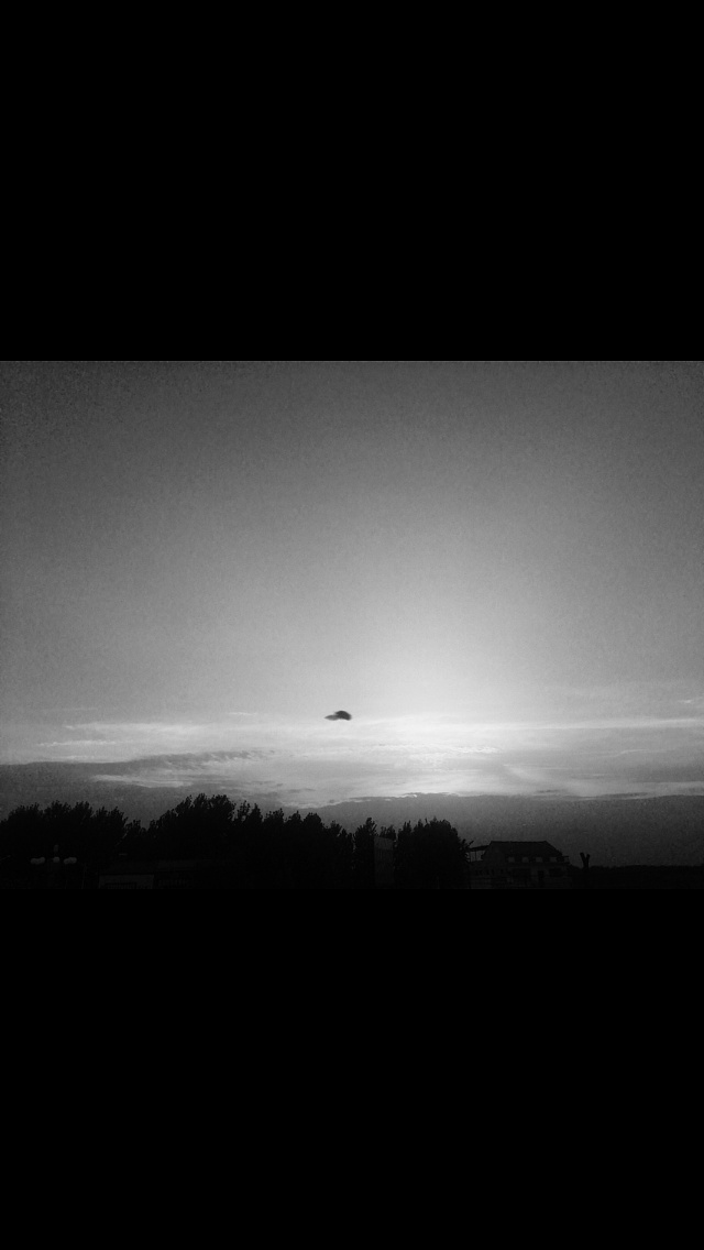 黑与白,爱与无奈