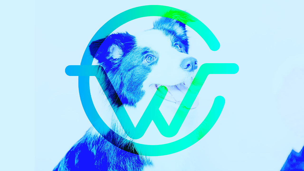 唯宠logo|宠标志|商城|个人logo（图ZMjU2Njc3Nzgw） - Logo - 站酷设计师土豆_Lix原创素材 - 站酷ZCOOL