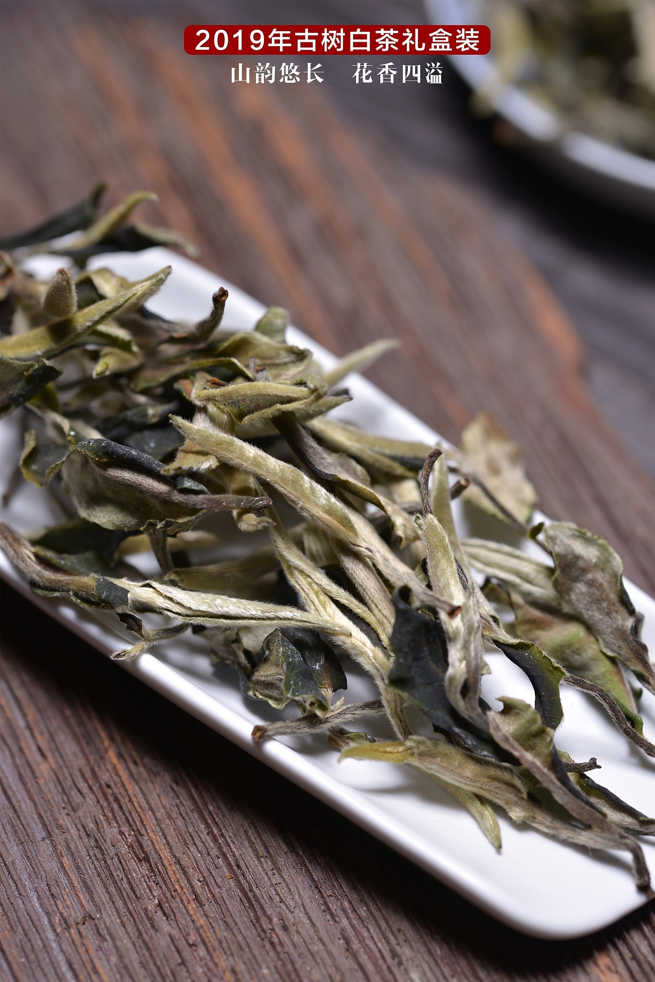 2019古树白茶月光白