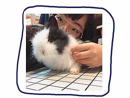 小漫画丨奇奇怪怪的②
