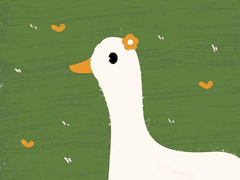 简笔画/可爱鸭子🦆小猫🐱