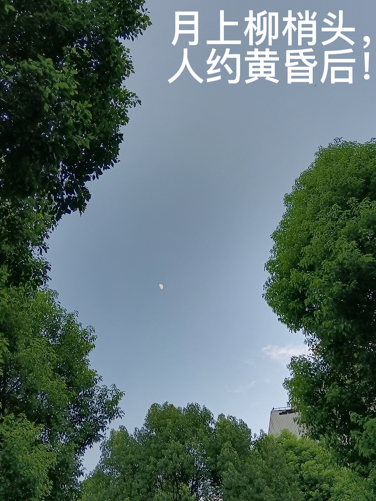 生活中到处美景