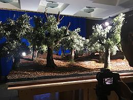 定格动画短片《风雨廊桥》树林场景