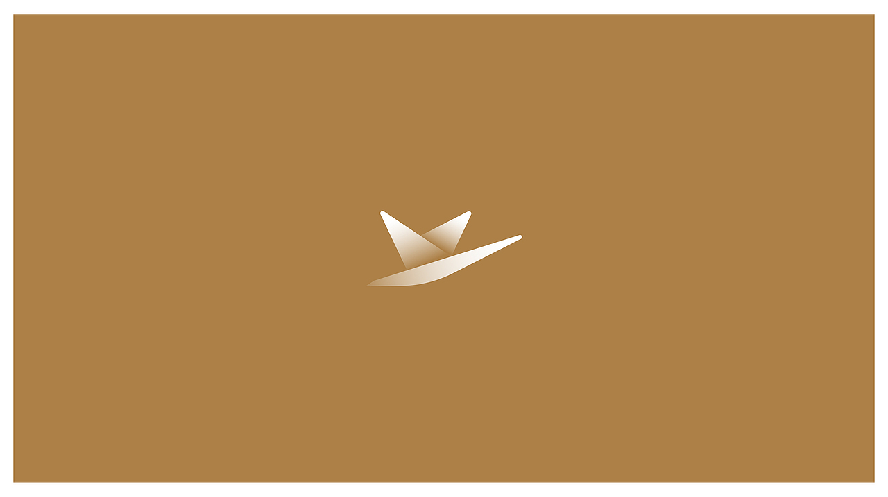 鸿雁精酿【品牌视觉】