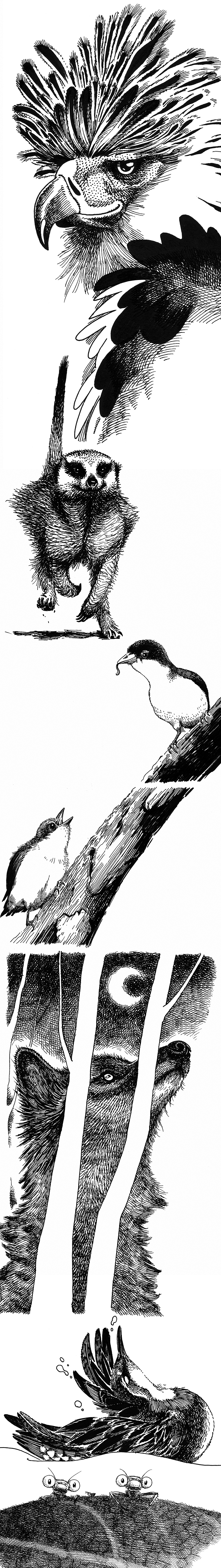 我的动物画小本本（图ZMTQwOTc5NTUy） - 绘画 - 站酷设计师机器人61号原创素材 - 站酷ZCOOL