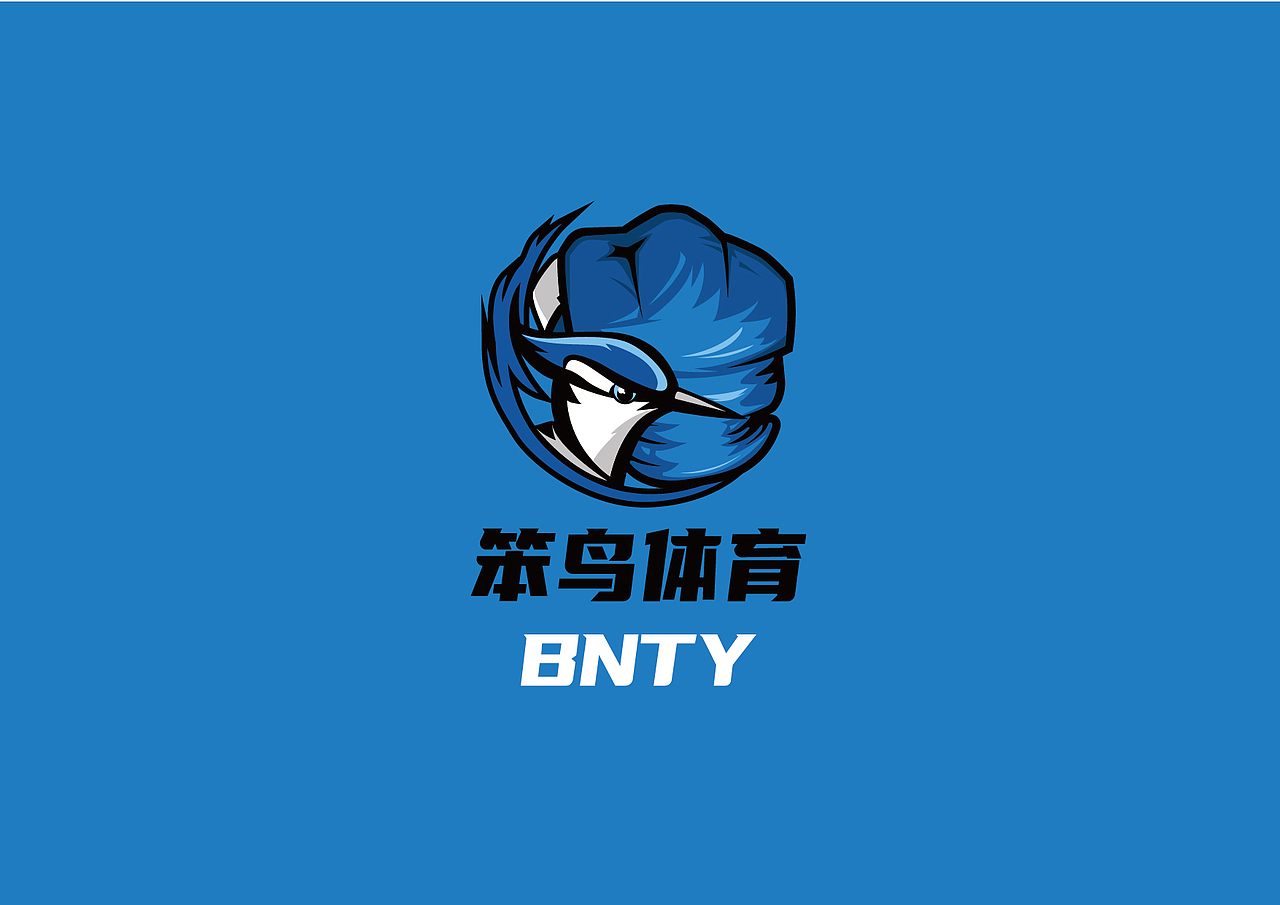 笨鸟体育-拳击用品（图ZMjI2NjY1MTEy） - Logo - 站酷设计师偶尔天才原创素材 - 站酷ZCOOL