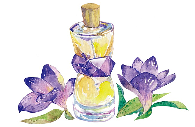 香水博物馆（图ZNjQwNDAxODg=） - 商业插画 - 站酷设计师法耶將軍原创素材 - 站酷ZCOOL