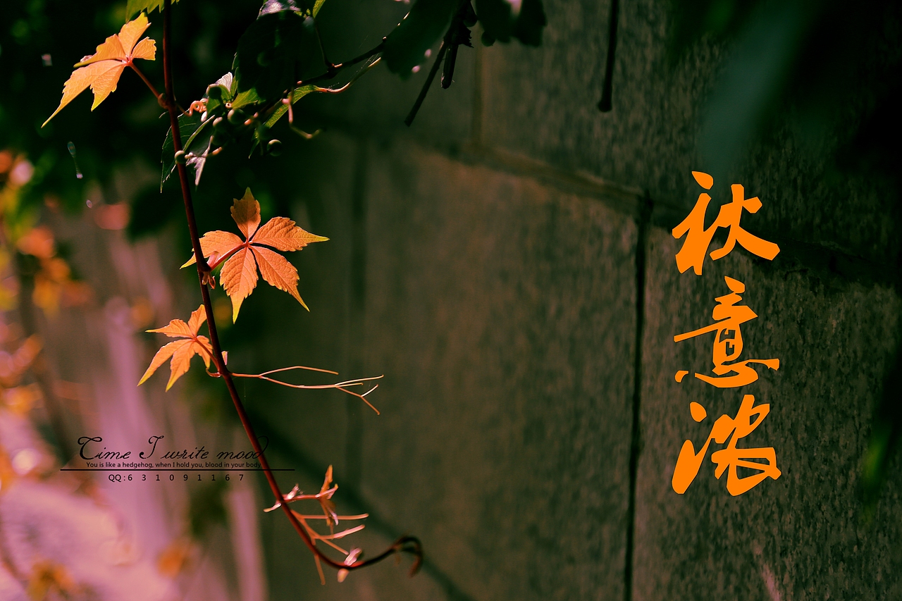 秋意浓（图ZMzMzMTg3ODA=） - 风光摄影 - 站酷设计师东北的东原创素材 - 站酷ZCOOL