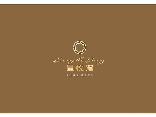 地产项目作品