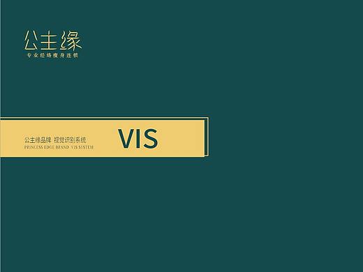 公主缘美容连锁VI设计