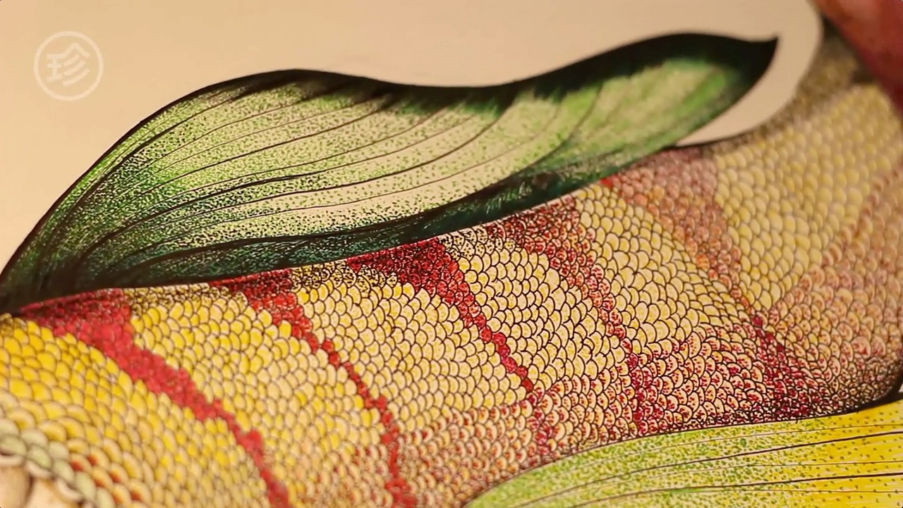 JAMU时尚插画之山海经赢鱼（图ZMTMzODg1NDA=） - 商业插画 - 站酷设计师迦木木原创素材 - 站酷ZCOOL