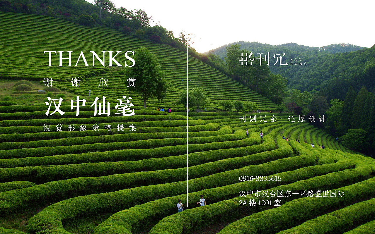 汉中仙毫品牌形象设计探究