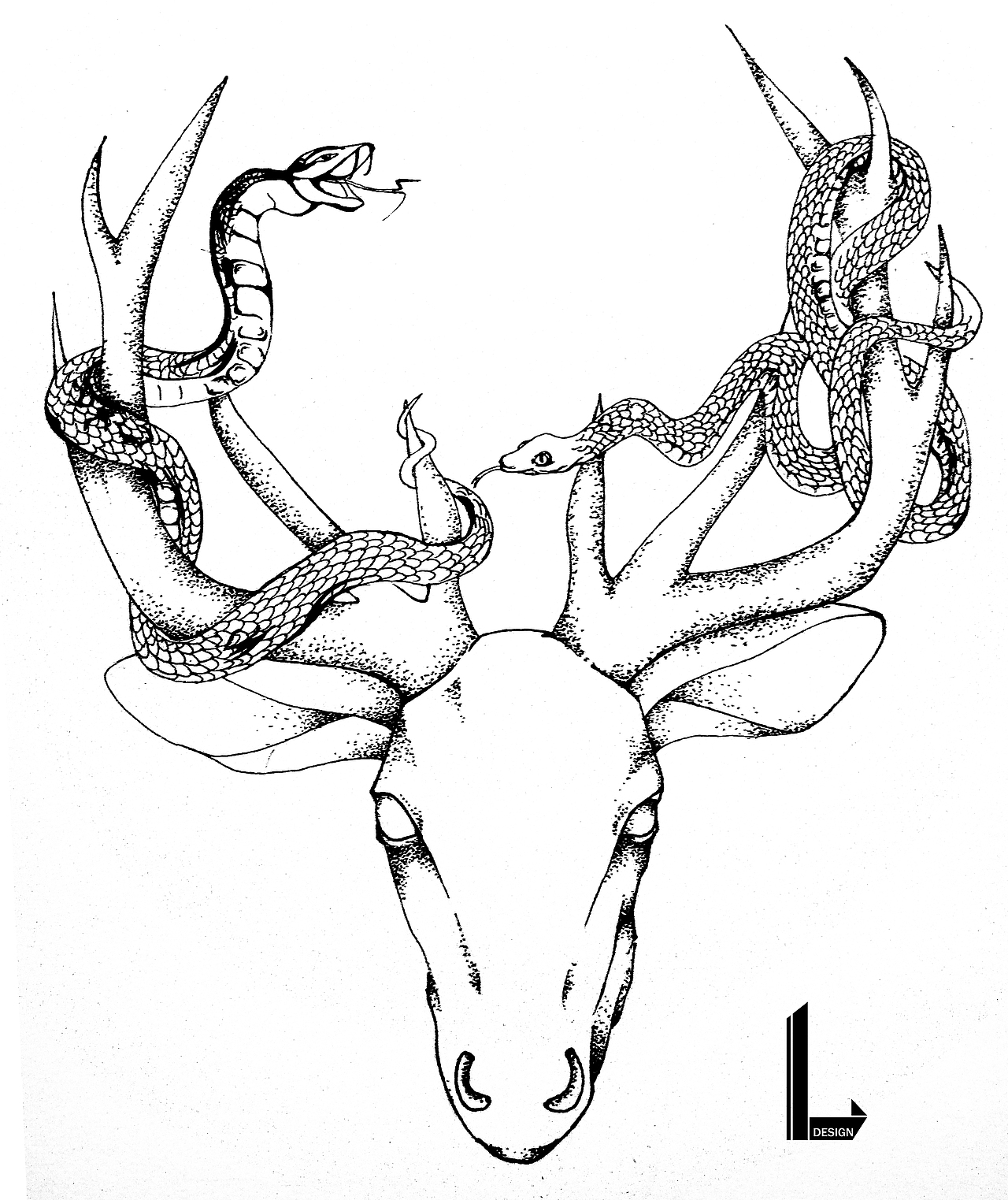 动物系列-黑白手绘装饰画（图ZNjA1NDc0NDA=） - 新锐潮流插画 - 站酷设计师Or_Gir原创素材 - 站酷ZCOOL