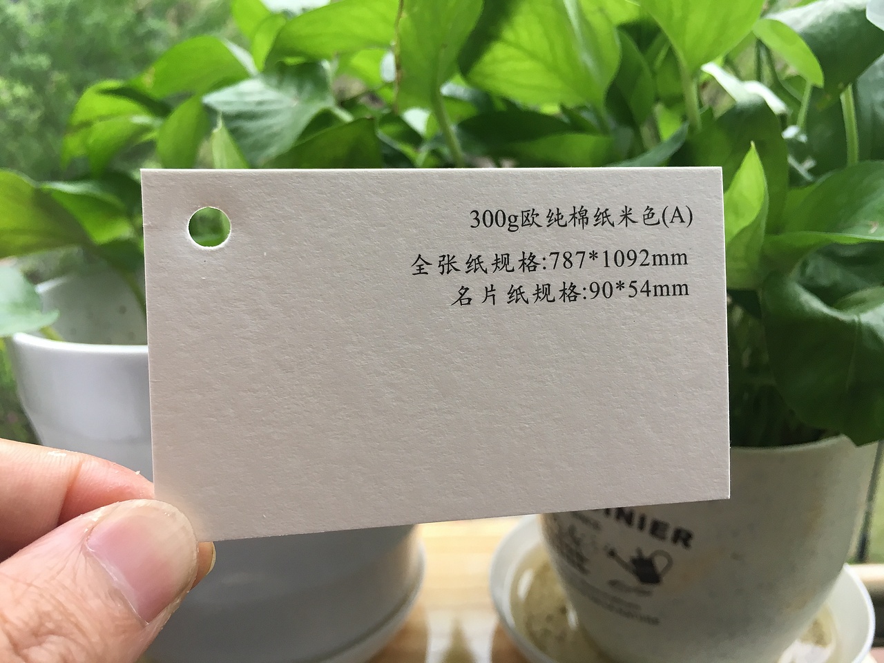 2019款特种纸艺术纸实物展示样册