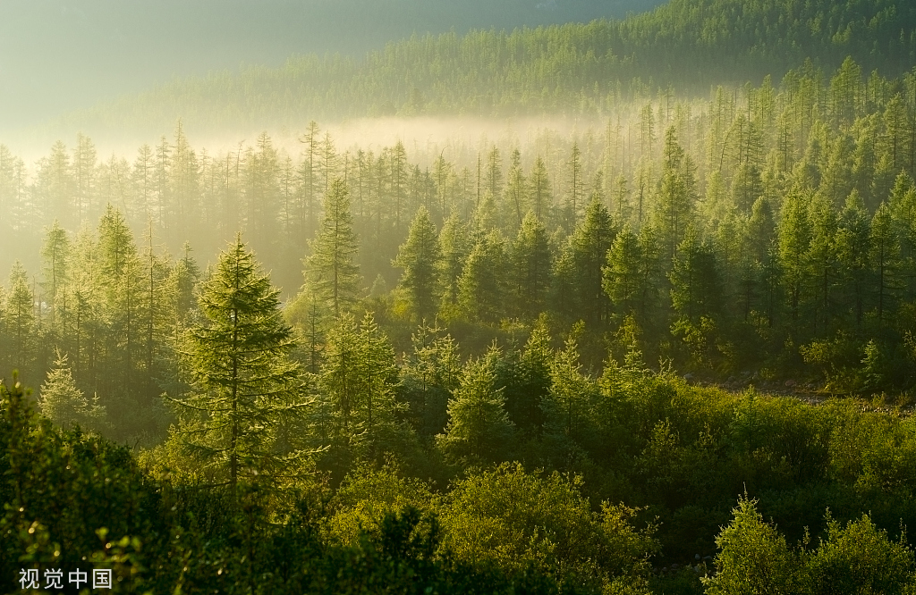 藝修design的個人主頁（封面預(yù)覽） - 主頁封面設(shè)置 - 站酷設(shè)計師藝修design原創(chuàng)素材 - 站酷ZCOOL