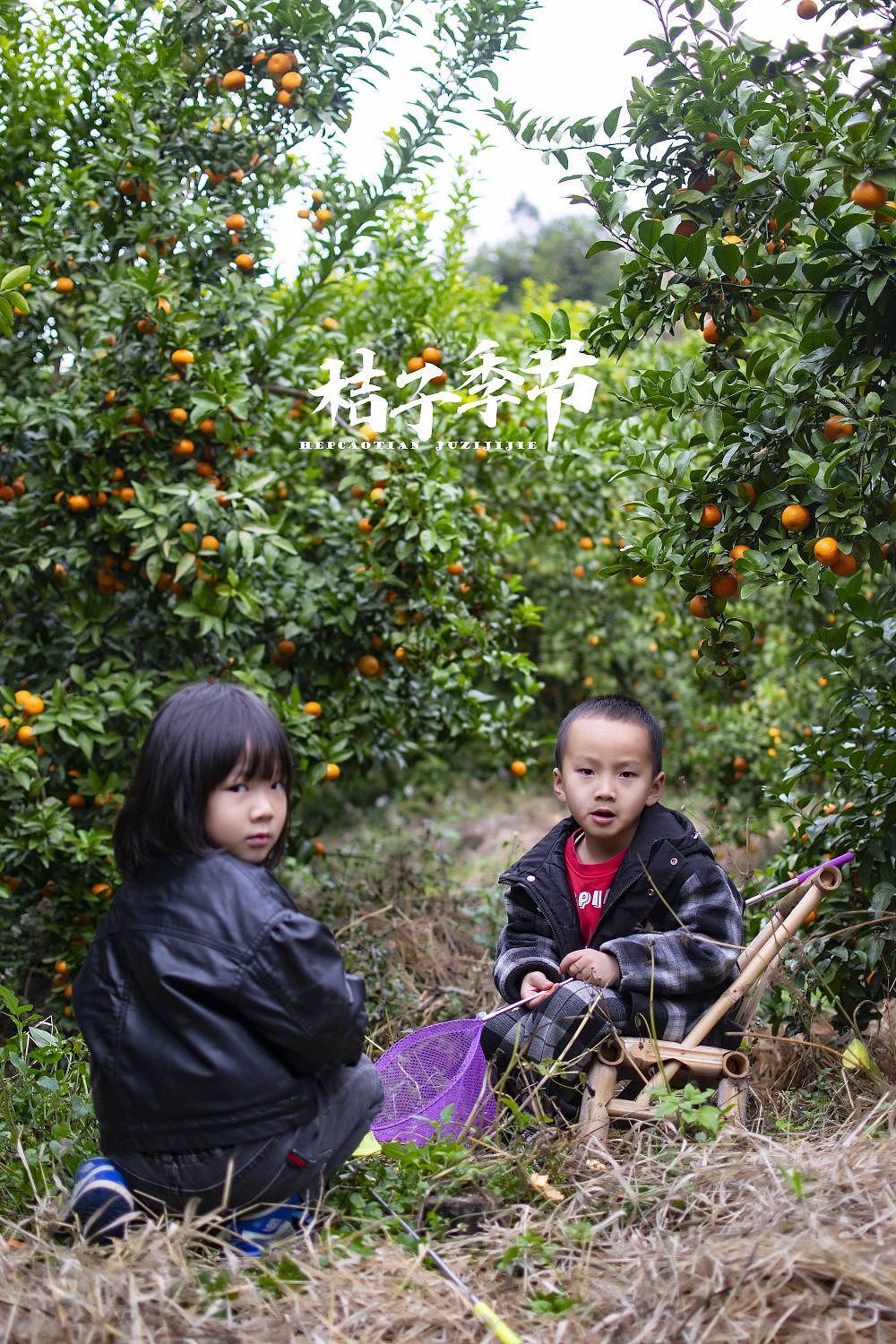 砂糖橘🍊🍊🍊🍊