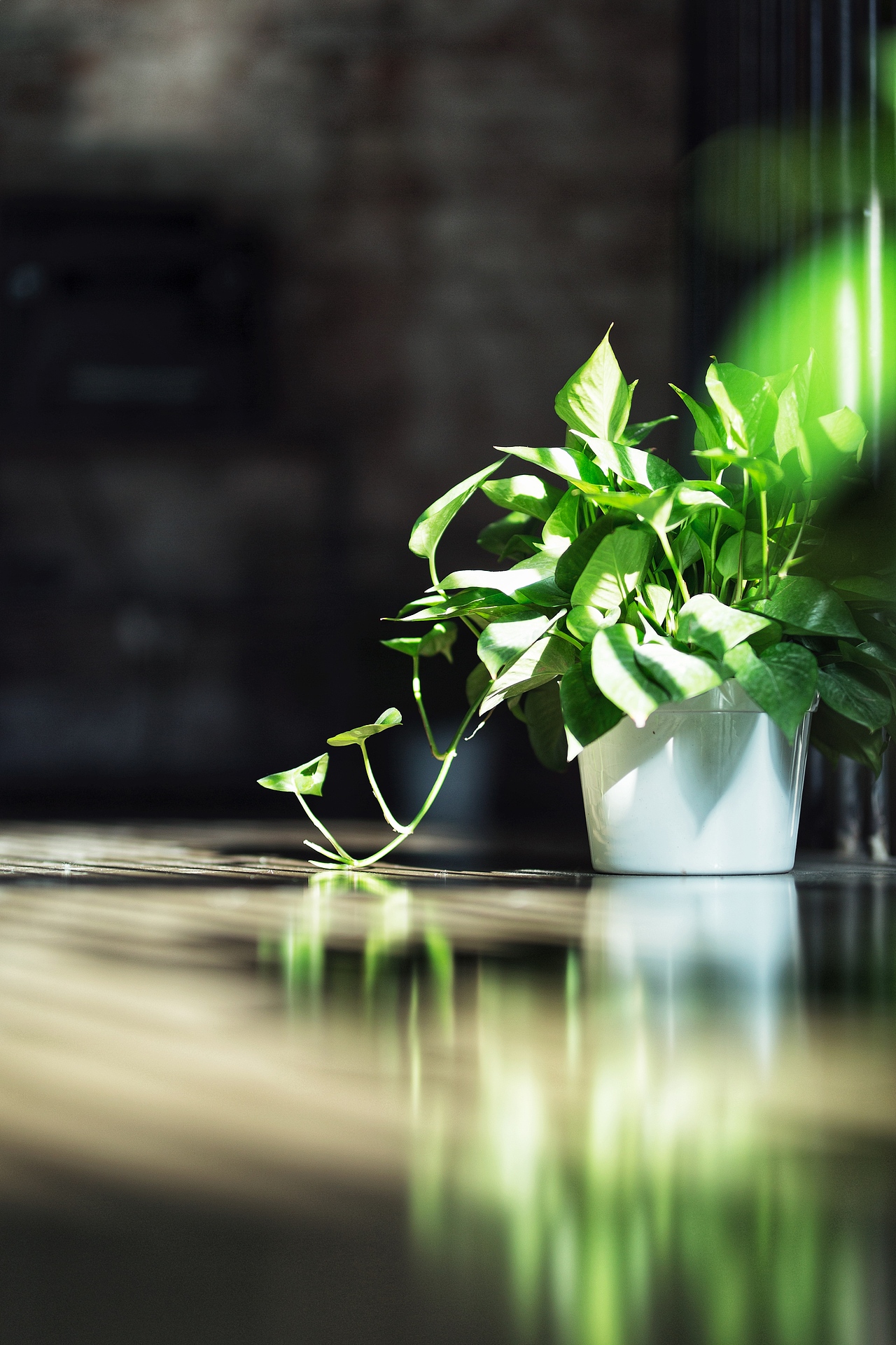 工作环境 出镜:贰零壹陆