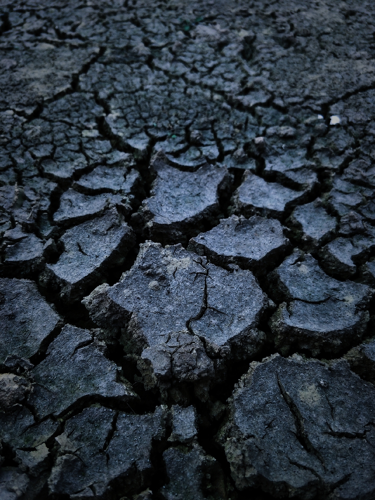 春天来了,夏天就不远了