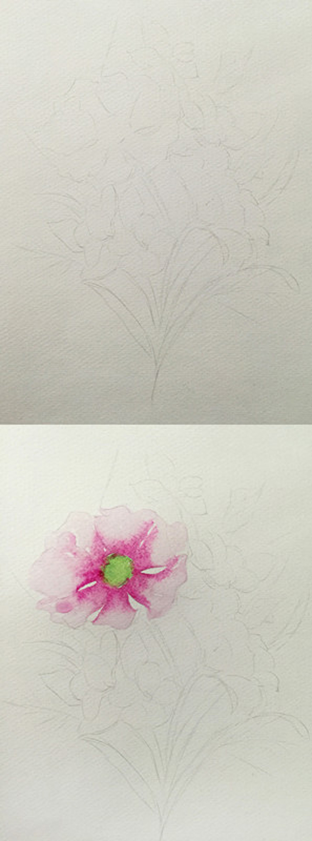 三木花草（小過程）（圖ZNDUxMzg0MDQ=） - 商業(yè)插畫 - 站酷設(shè)計師吳都Jasmine原創(chuàng)素材 - 站酷ZCOOL