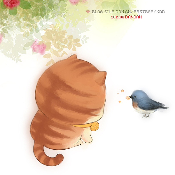肚皮网游记~~宅猫猫