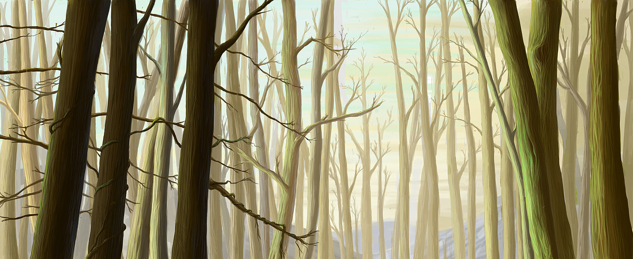深林中（图ZNTA5MTc1Mg==） - 商业插画 - 站酷设计师对流层漂浮原创素材 - 站酷ZCOOL