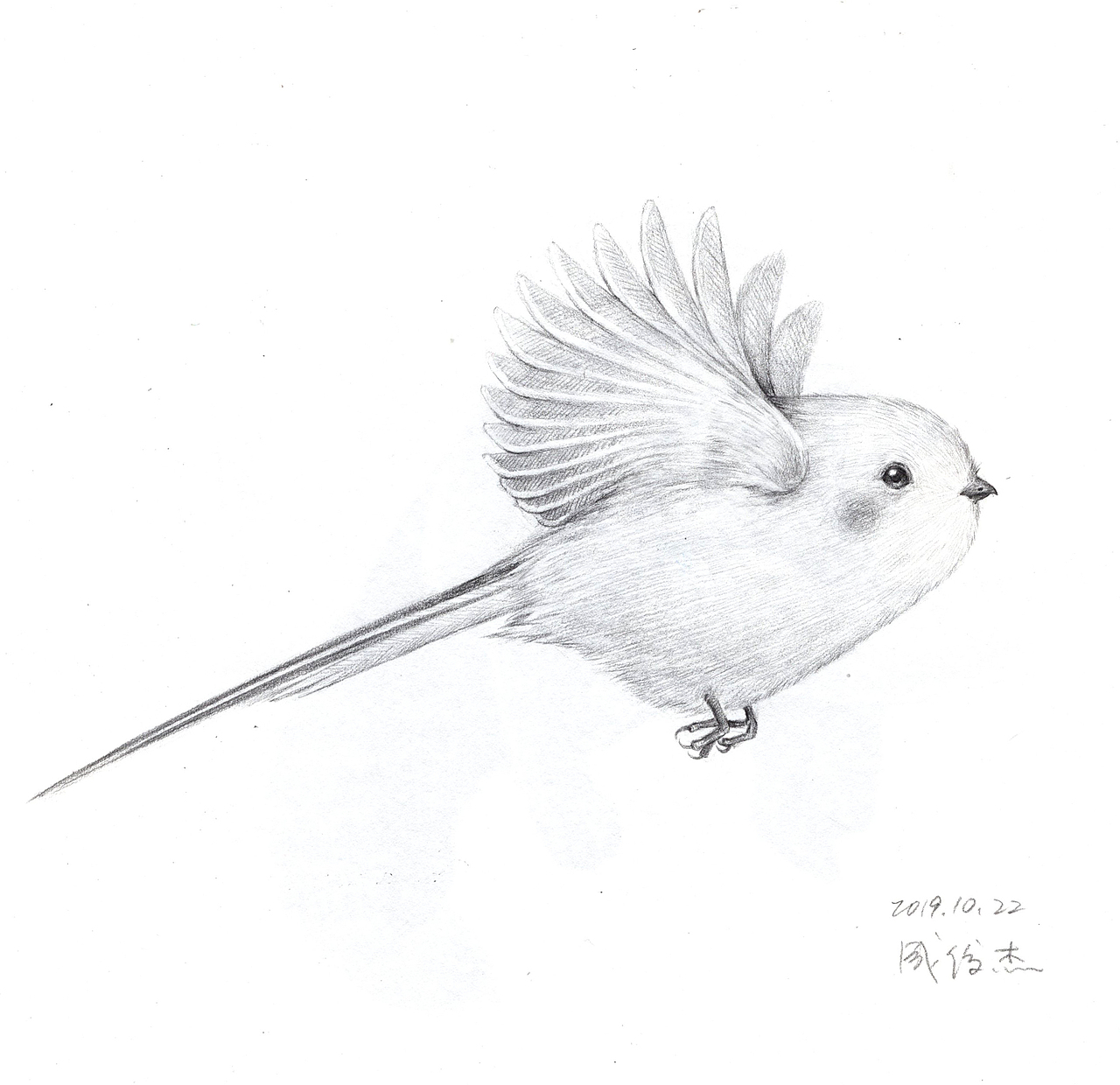 一组素描手绘,可爱有趣的动物们~~