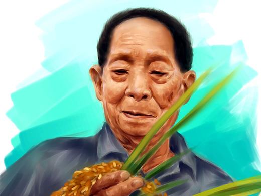 致敬袁隆平院士，袁爷爷，一路走好！