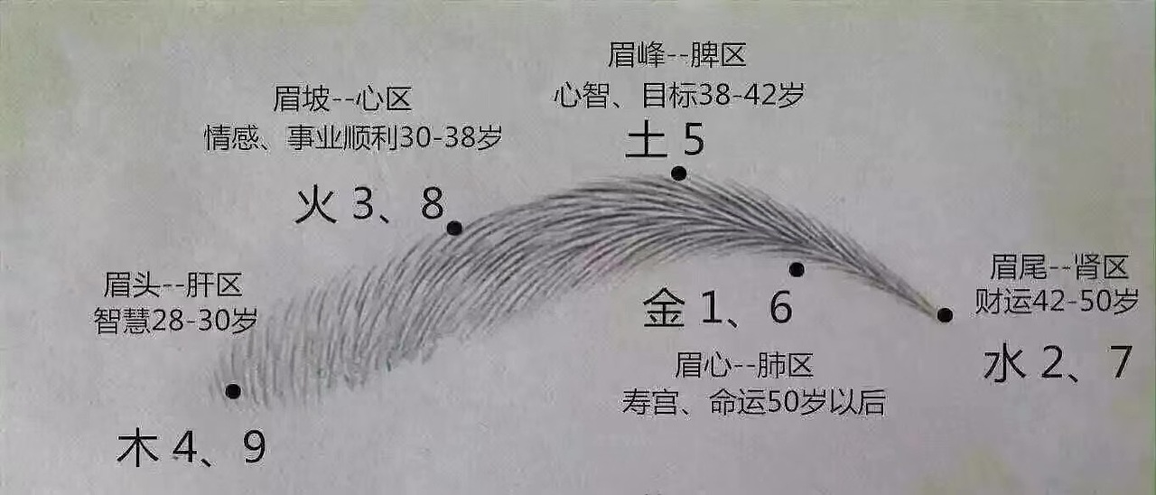 眉毛中的风水