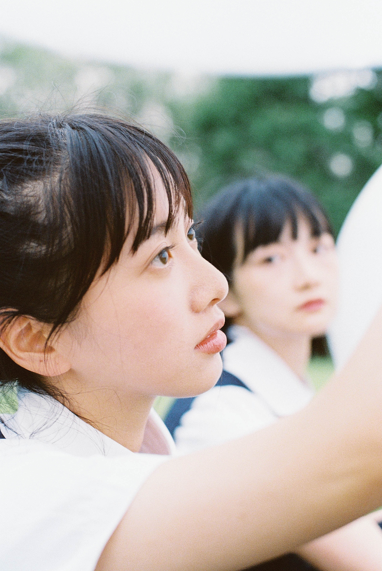 Set me whereas the sun doth parch the green.