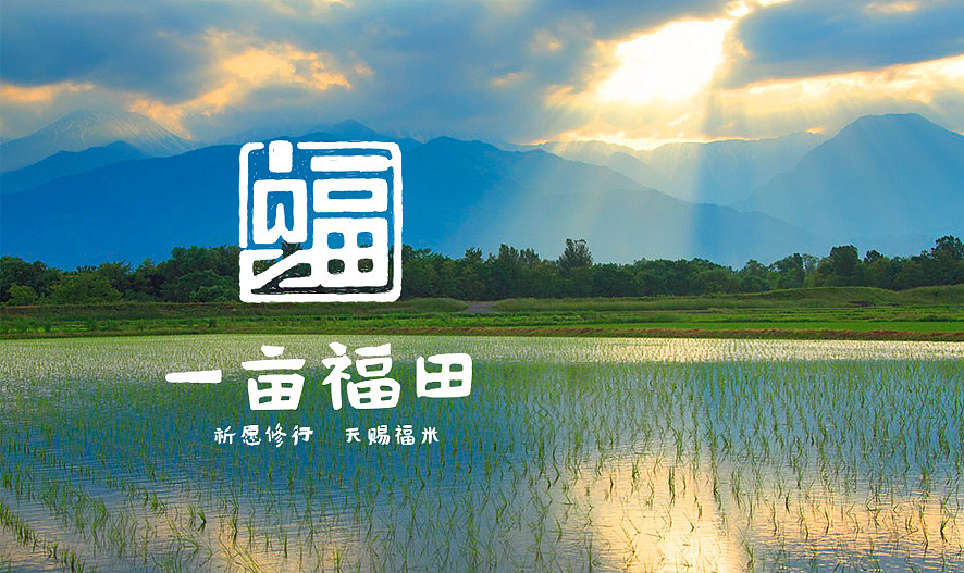 一亩福田品牌设计（图ZODk3OTY0MzI=） - 品牌 - 站酷设计师上智诚品牌原创素材 - 站酷ZCOOL