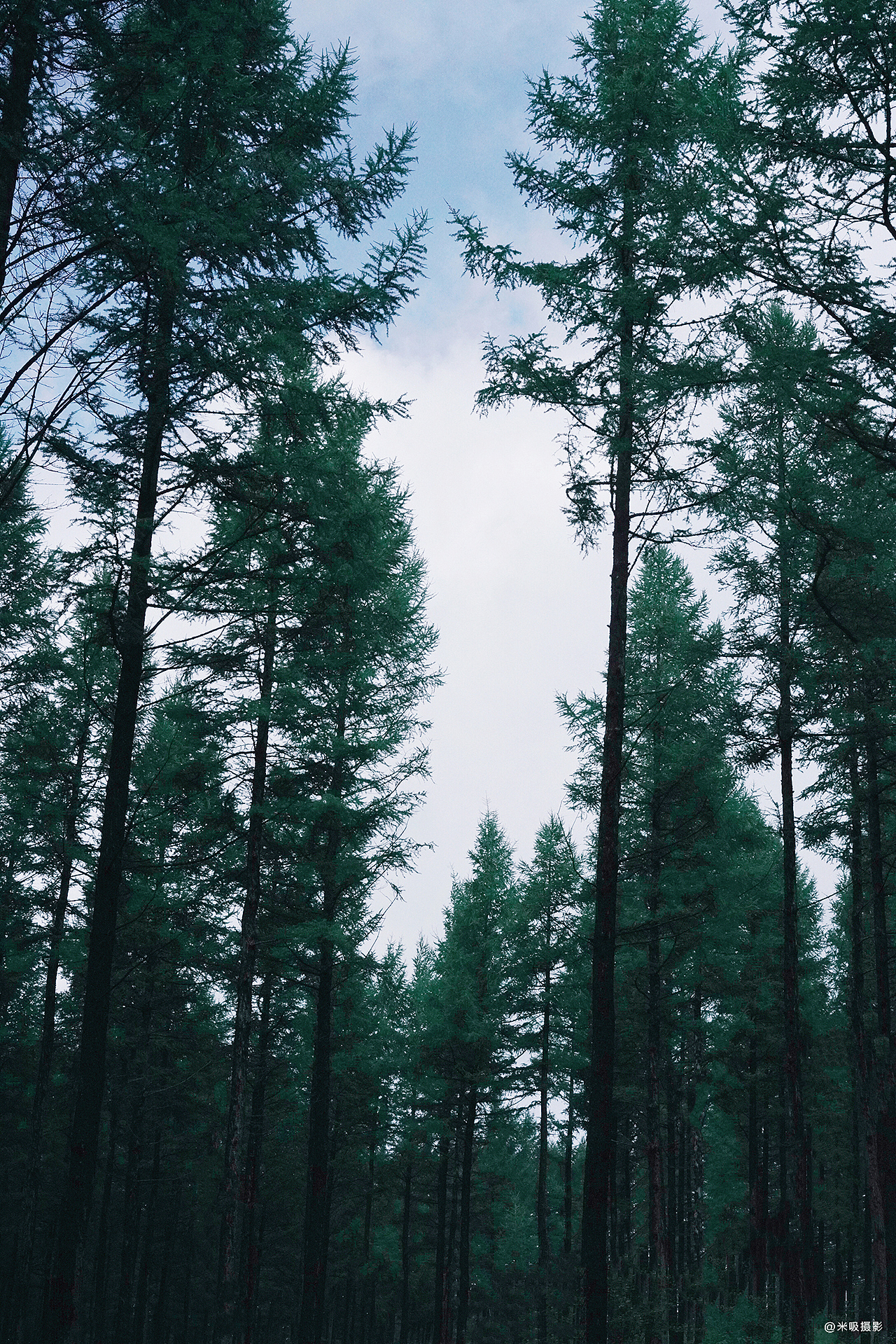 我们匆忙的来
我们马不停蹄的离开<br>就像这周末时光里偷来的美景<br>总会有离别的那一刻<br>像歌里唱的<br>后视镜里的世界<br>越来越远的道别