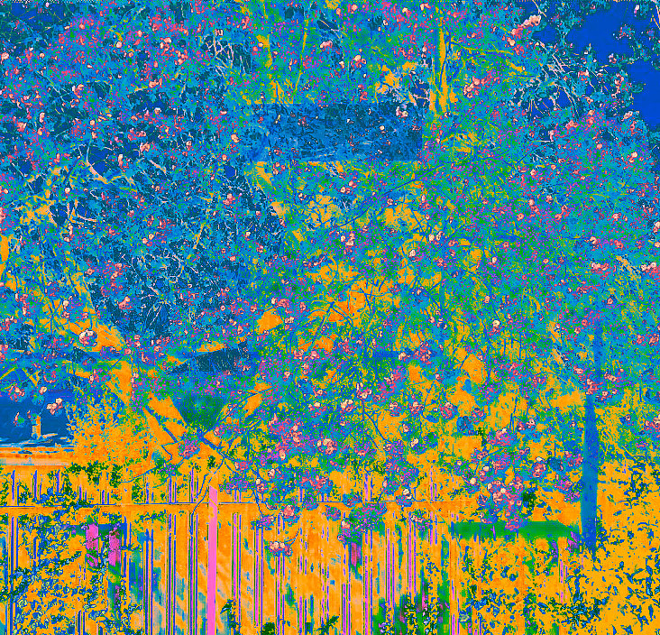 一些通过改色相饱和度对比度的摄影作业