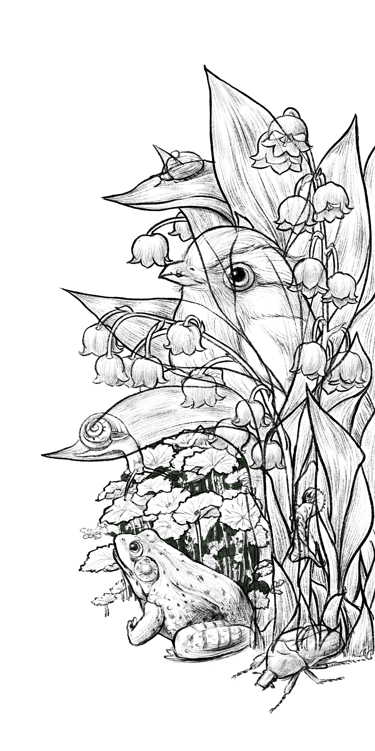 春雷响，万物生———惊蛰