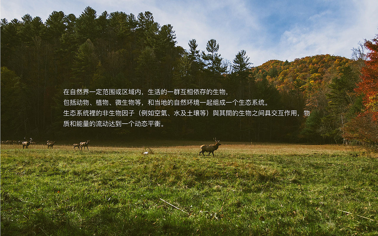 Raputa花园市集企业品牌形象（图ZMjM3MzM1Mjgw） - 品牌 - 站酷设计师aime_chan原创素材 - 站酷ZCOOL