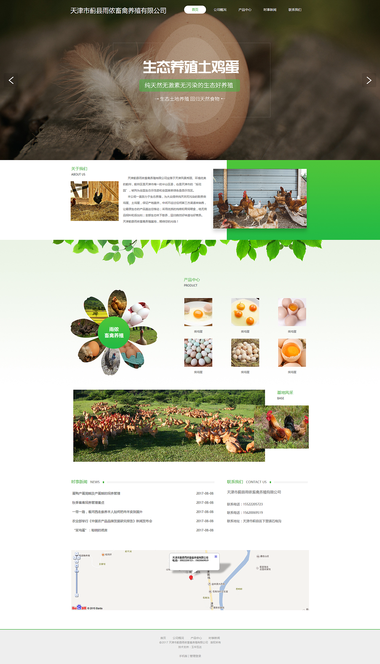 柴鸡蛋-首页设计