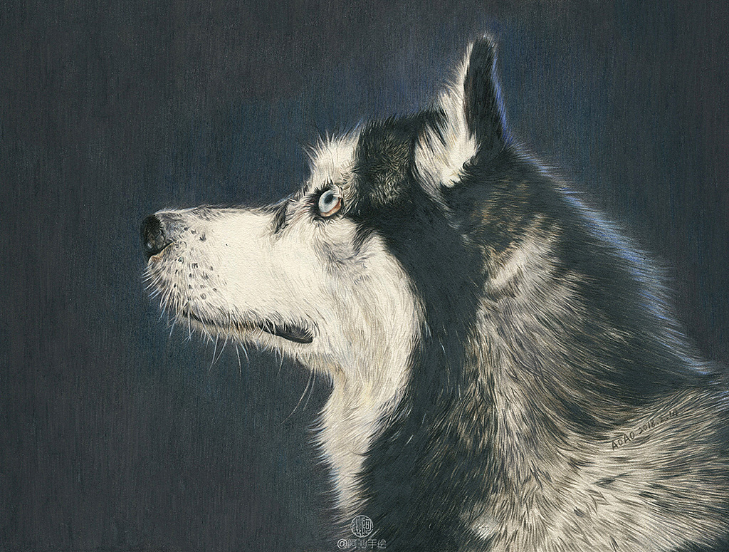 30张汪星人彩铅画-阿沁作品（图ZMTI4ODg0Nzk2） - 绘画 - 站酷设计师煜芮原创素材 - 站酷ZCOOL