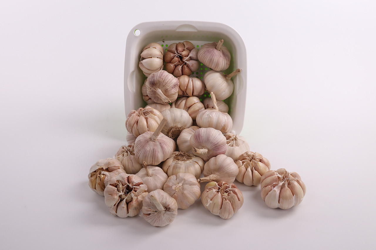 B07水产生鲜\C08-新鲜蔬菜\V02大蒜X1-QM