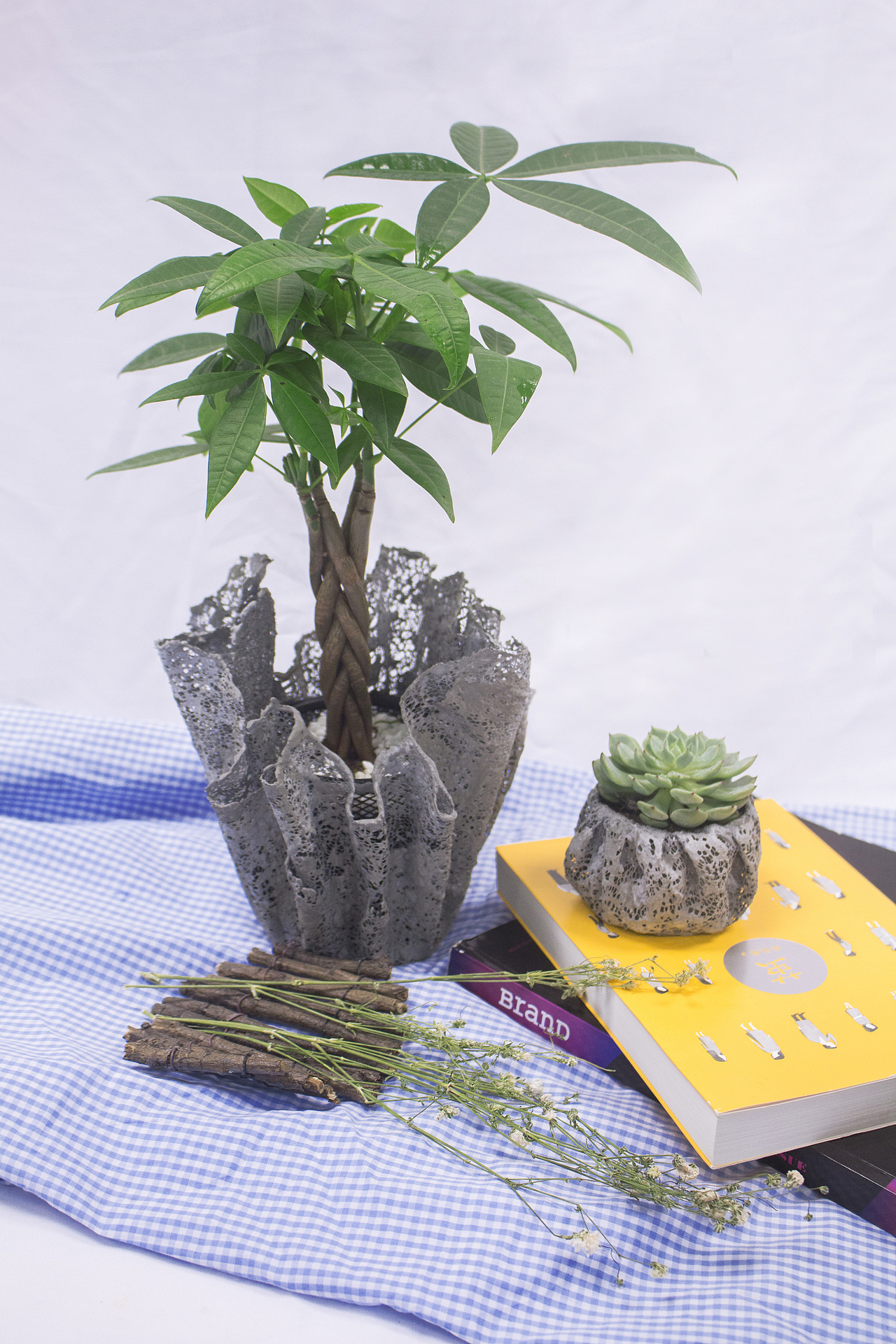 创意花盆设计青春答卷2017