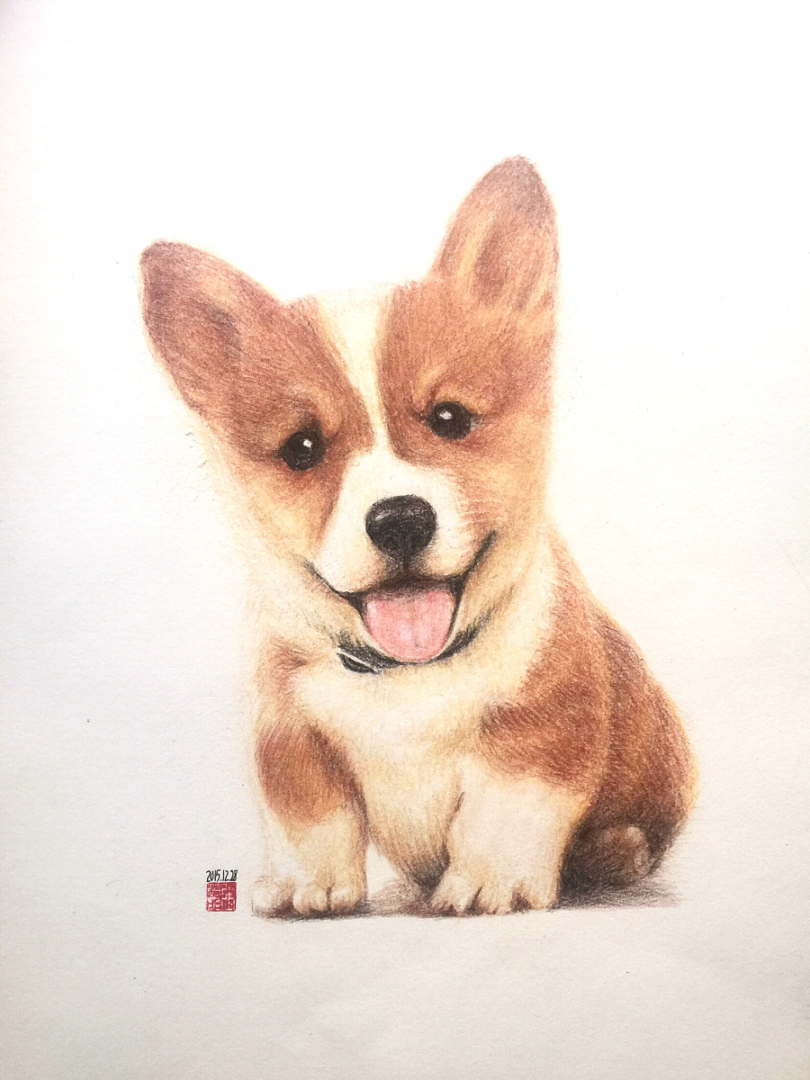 原创作品:手绘短腿小柯基