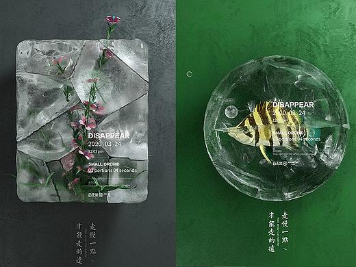 遇见美好【C4D冻结的花草】
