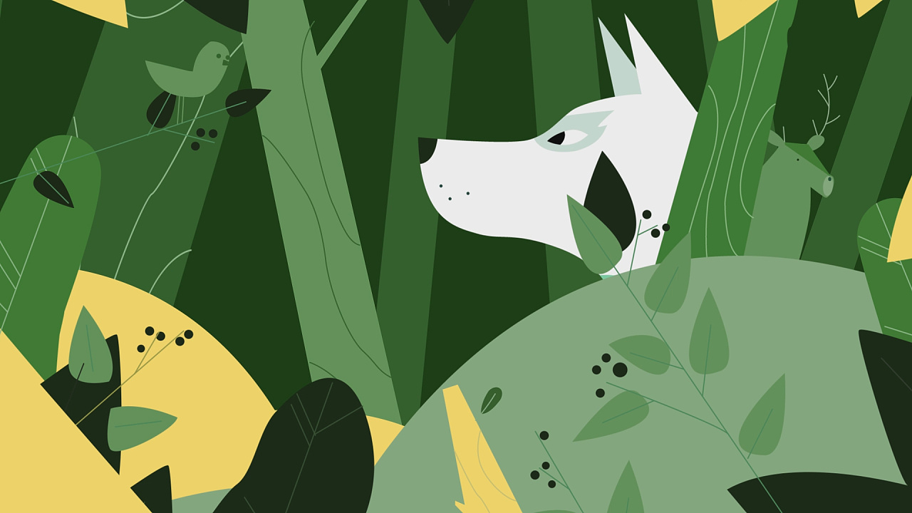 mg动画动物世界