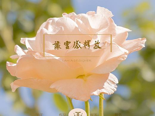 个人网页