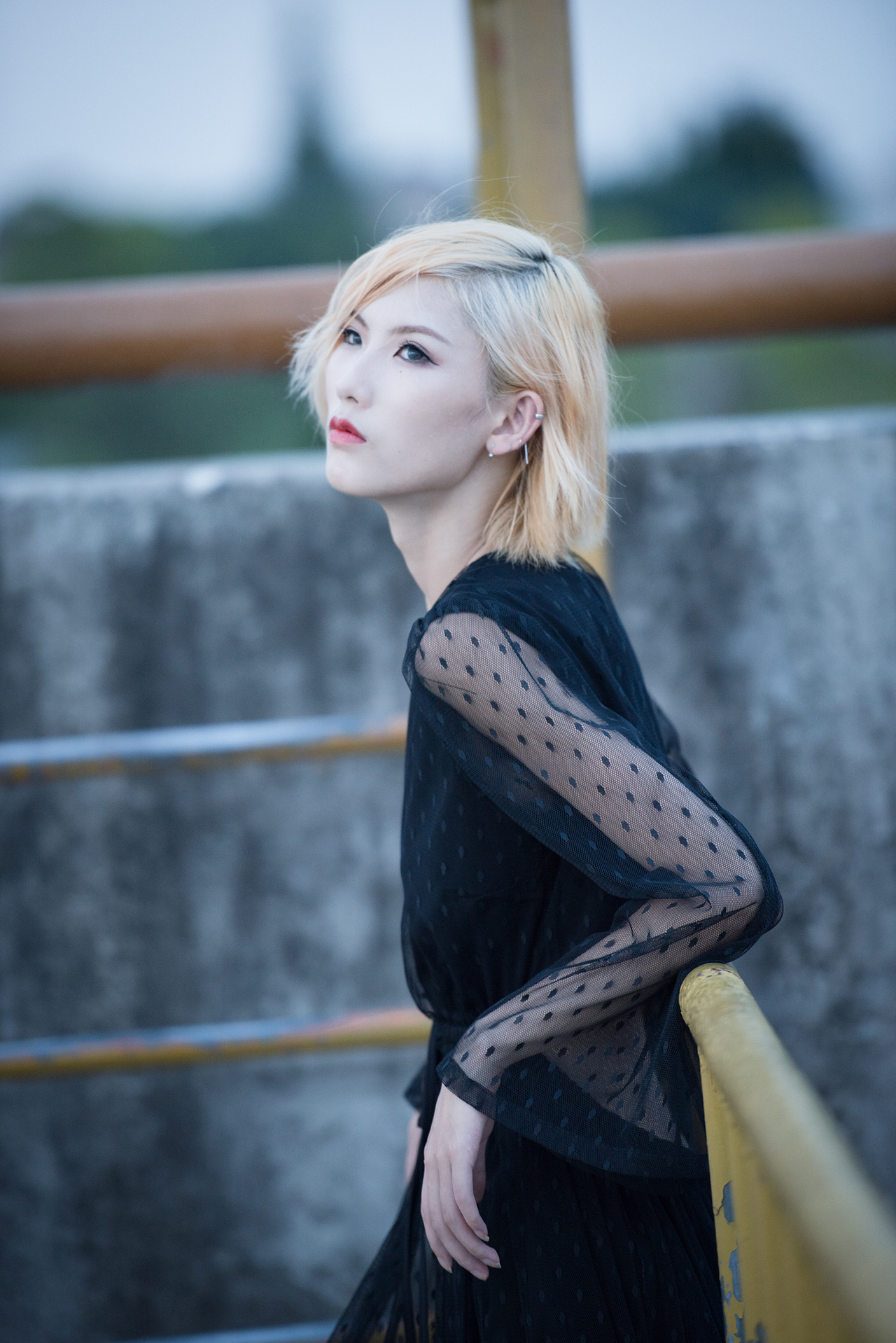 忘记我冷厉的味道